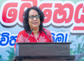 Colombo District Dengue Control Program (From 2026.06.15 to 2026.06.22)