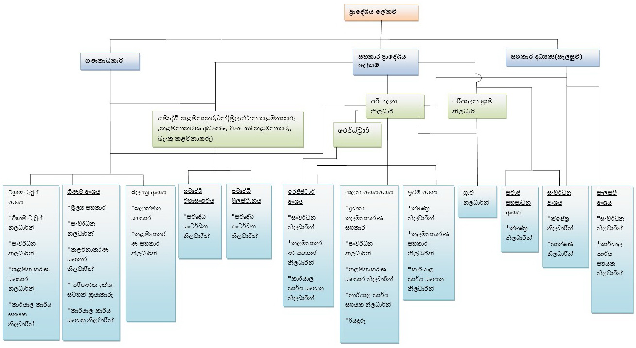 organization structure en