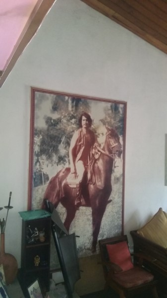 pic10 Hon2 
