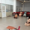 The third in a series of psychological counseling programmes(2022-02-10)