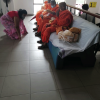 The Bhikkhunis' Pindapatha Tour on Women's Day (2022-03-08)