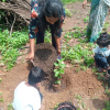 "Productivity Project to Build a Complete Pre-School"(2022-05-06)
