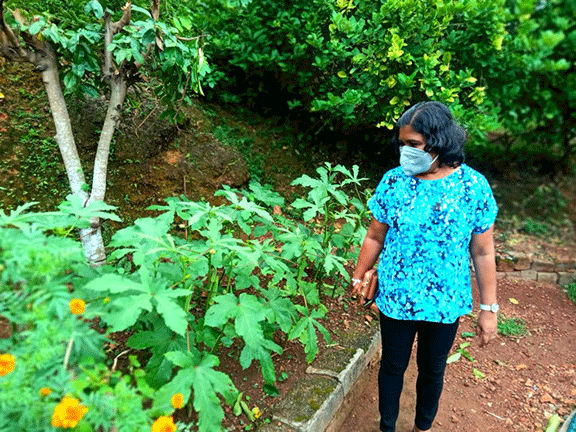 Divisioonal secretary Monitoring and observation of home gardening in GN divisions(2022_08_08