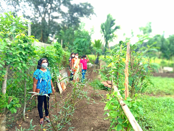 Divisioonal secretary Monitoring and observation of home gardening in GN divisions(2022_08_08