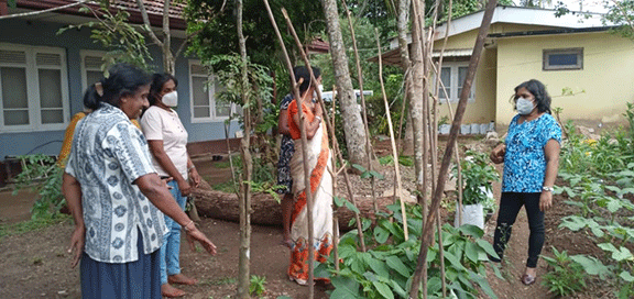 Divisioonal secretary Monitoring and observation of home gardening in GN divisions(2022_08_08
