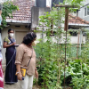 Divisioonal secretary Monitoring and observation of home gardening in GN divisions(2022_08_08
