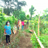 Divisioonal secretary Monitoring and observation of home gardening in GN divisions(2022_08_08