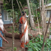 Divisioonal secretary Monitoring and observation of home gardening in GN divisions(2022_08_08