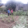 Divisioonal secretary Monitoring and observation of home gardening in GN divisions(2022_08_08