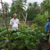 Divisioonal secretary Monitoring and observation of home gardening in GN divisions(2022_08_08