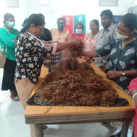 a practical training program on mushroom cultivation(2023-01-14)