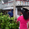 Dengue  prevention Programme Maharagama West division 2023_05_21