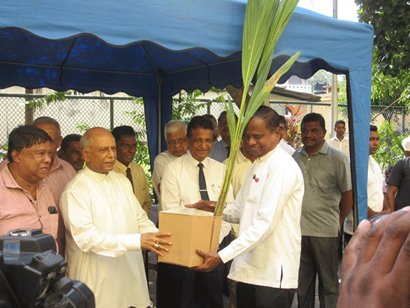 Distribution of coconut saplings at Maharagama divisional secretariat (2023-04-18) 