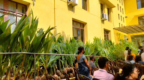 Distribution of coconut saplings at Maharagama divisional secretariat (2023-04-18) 