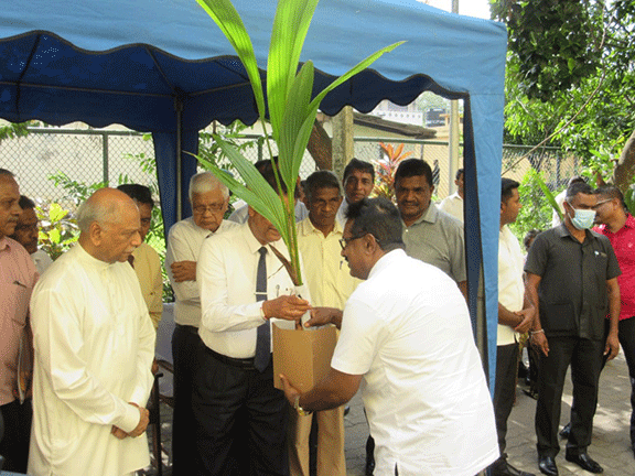 Distribution of coconut saplings at Maharagama divisional secretariat (2023-04-18) 