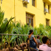 Distribution of coconut saplings at Maharagama divisional secretariat (2023-04-18) 