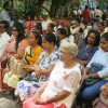 Distribution of coconut saplings at Maharagama divisional secretariat (2023-04-18) 
