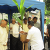 Distribution of coconut saplings at Maharagama divisional secretariat (2023-04-18) 