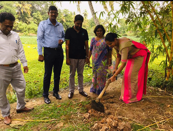 year 2023 Tree Planting Programme-Maharagama Divisional Secretariat(2023-02-03) 