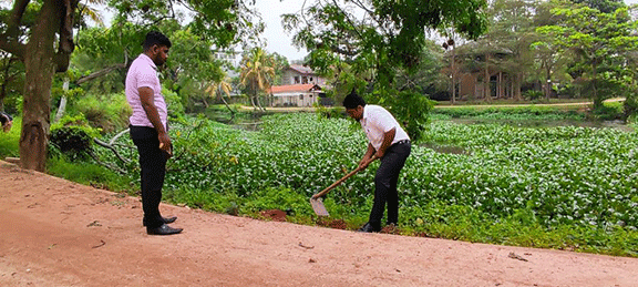 year 2023 Tree Planting Programme-Maharagama Divisional Secretariat(2023-02-03) 