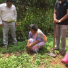 Tree Planting Programme-Maharagama Divisional Secretariat