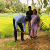 year 2023 Tree Planting Programme-Maharagama Divisional Secretariat(2023-02-03) 