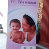 Pear's Baby sponsored Project 2023-05-23