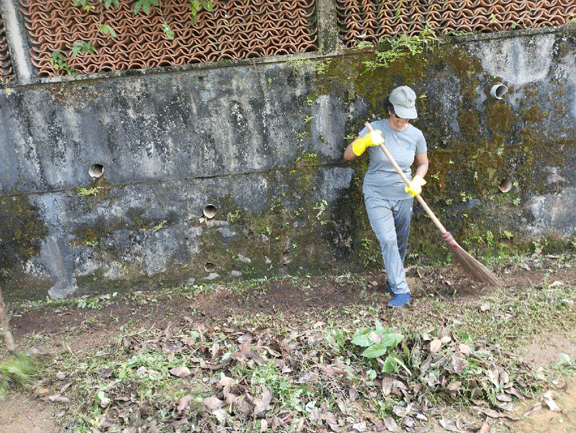 Clean Sri Lanka programme held in Wattegedara Division (2025-01-31)