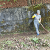 Clean Sri Lanka programme held in Wattegedara Division (2025-01-31)