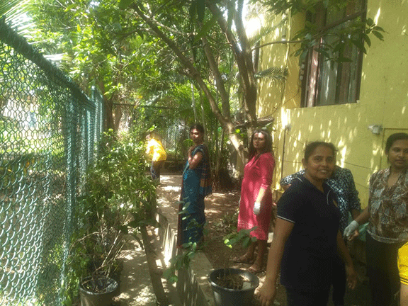Dengue Shramadana Programme Maharagama Divisional Secretariat(2025-07-03)