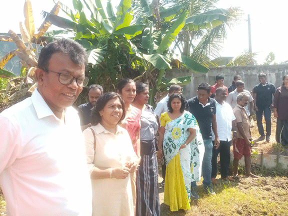 Fallen Paddy Field Cultivation Programme 2025 govijana sewa Maharagama(2025-02-15)
