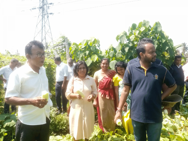 Fallen Paddy Field Cultivation Programme 2025 govijana sewa Maharagama(2025-02-15)