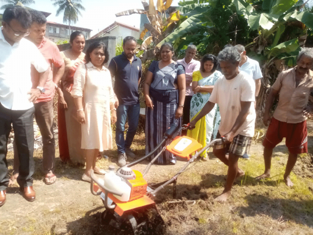 Fallen Paddy Field Cultivation Programme 2025 govijana sewa Maharagama(2025-02-15)