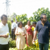 Fallen Paddy Field Cultivation Programme 2025 govijana sewa Maharagama(2025-02-15)