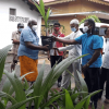 Distribution of coconut saplings(2021-11-19)