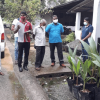Distribution of coconut saplings(2021-11-19)
