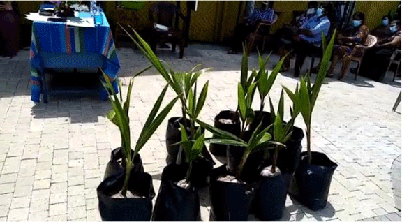 Home Gardening programme 2021