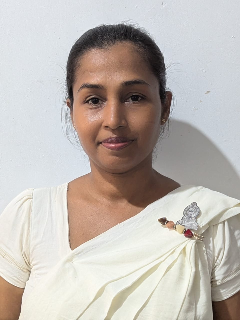 pannipitiya north